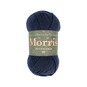 West Yorkshire Spinners Blackthorn Morris DK 50g image number 1