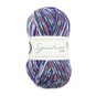 West Yorkshire Spinners Starling Signature 4 Ply 100g image number 1