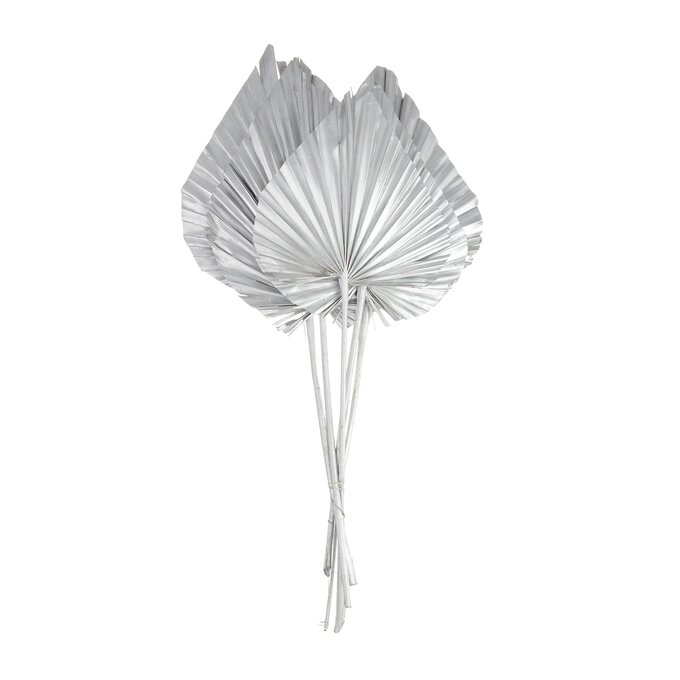Silver King Palm Spears 5 Pack image number 1