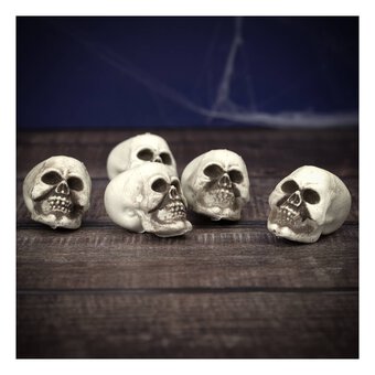 Skeleton Heads 5 Pack