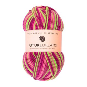 West Yorkshire Spinners Pink and Green Future Dreams Yarn 100g