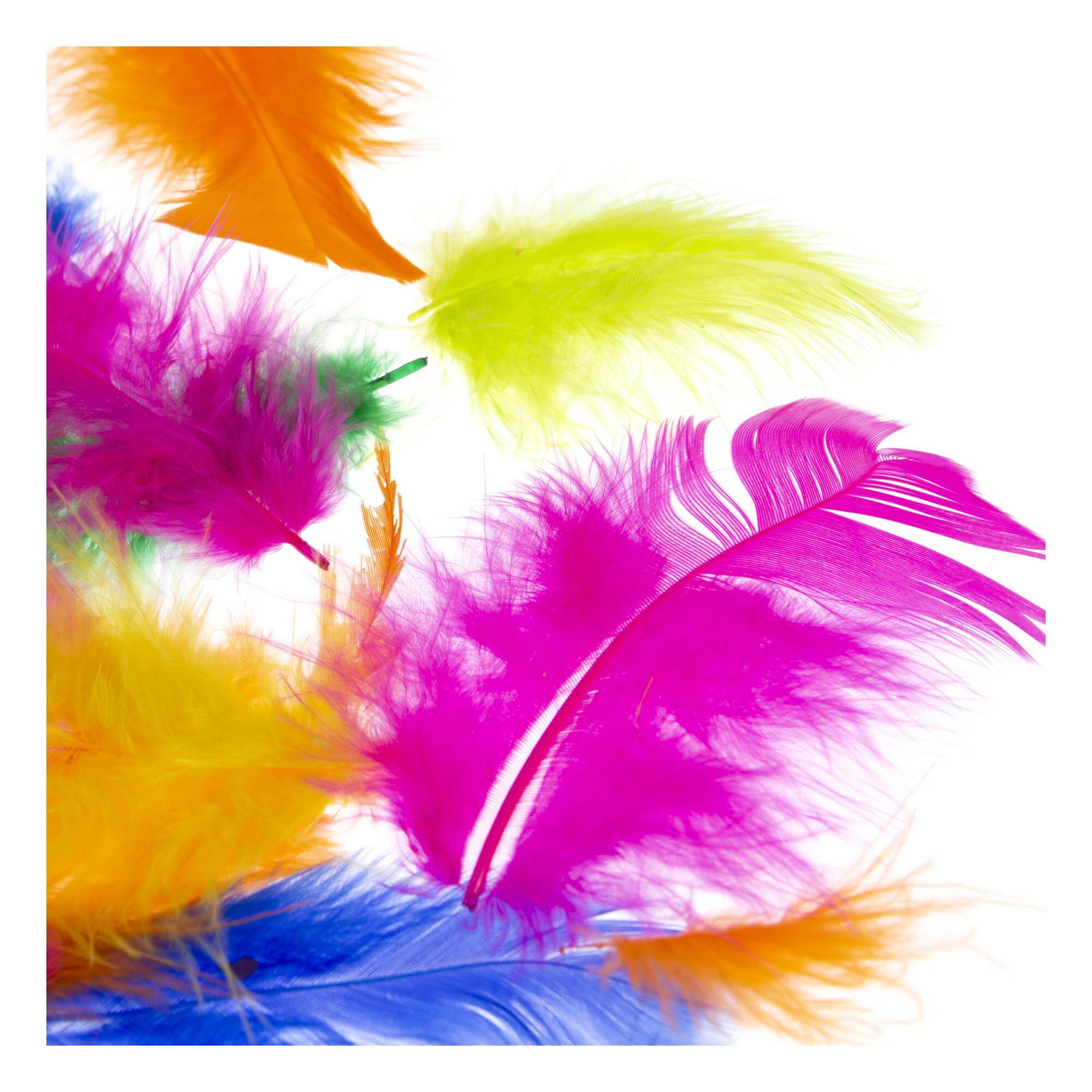 Bright Craft Feathers 5g Hobbycraft