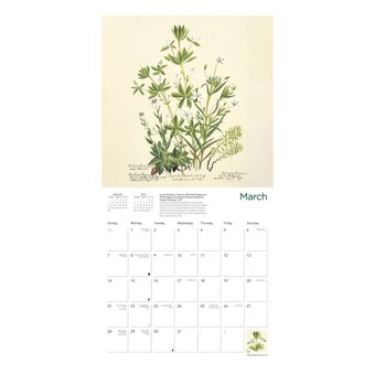 Royal Botanic Garden Edinburgh Wall Calendar 2027