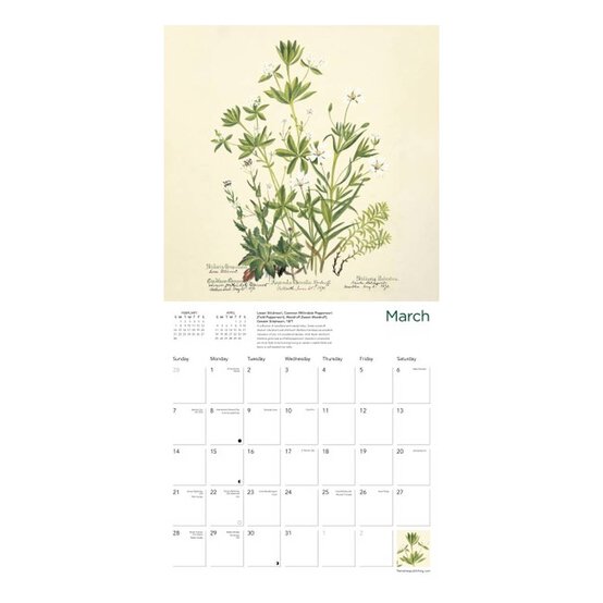 Royal Botanic Garden Edinburgh Wall Calendar 2027 image number 2