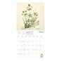 Royal Botanic Garden Edinburgh Wall Calendar 2027 image number 2