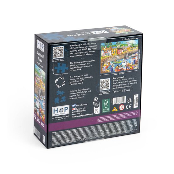 House of Puzzles Seagull View Big Jigsaw Puzzle 250 Pieces image number 3
