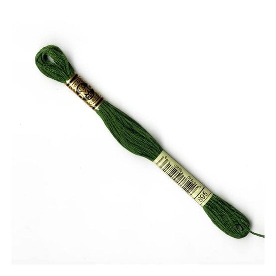 DMC Green Mouline Special 25 Cotton Thread 8m (895) image number 1