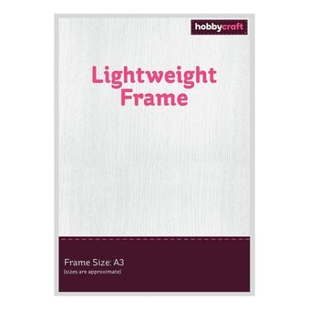 Silver Lightweight Frame A3