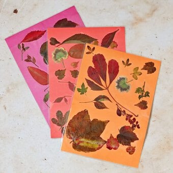 How to Preserve Autumn Leaves