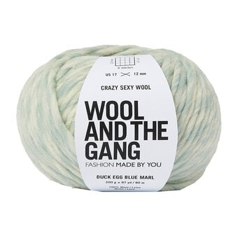 Wool and the Gang Duck Egg Blue Crazy Sexy Wool Marl 200g