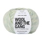Wool and the Gang Duck Egg Blue Crazy Sexy Wool Marl 200g image number 1