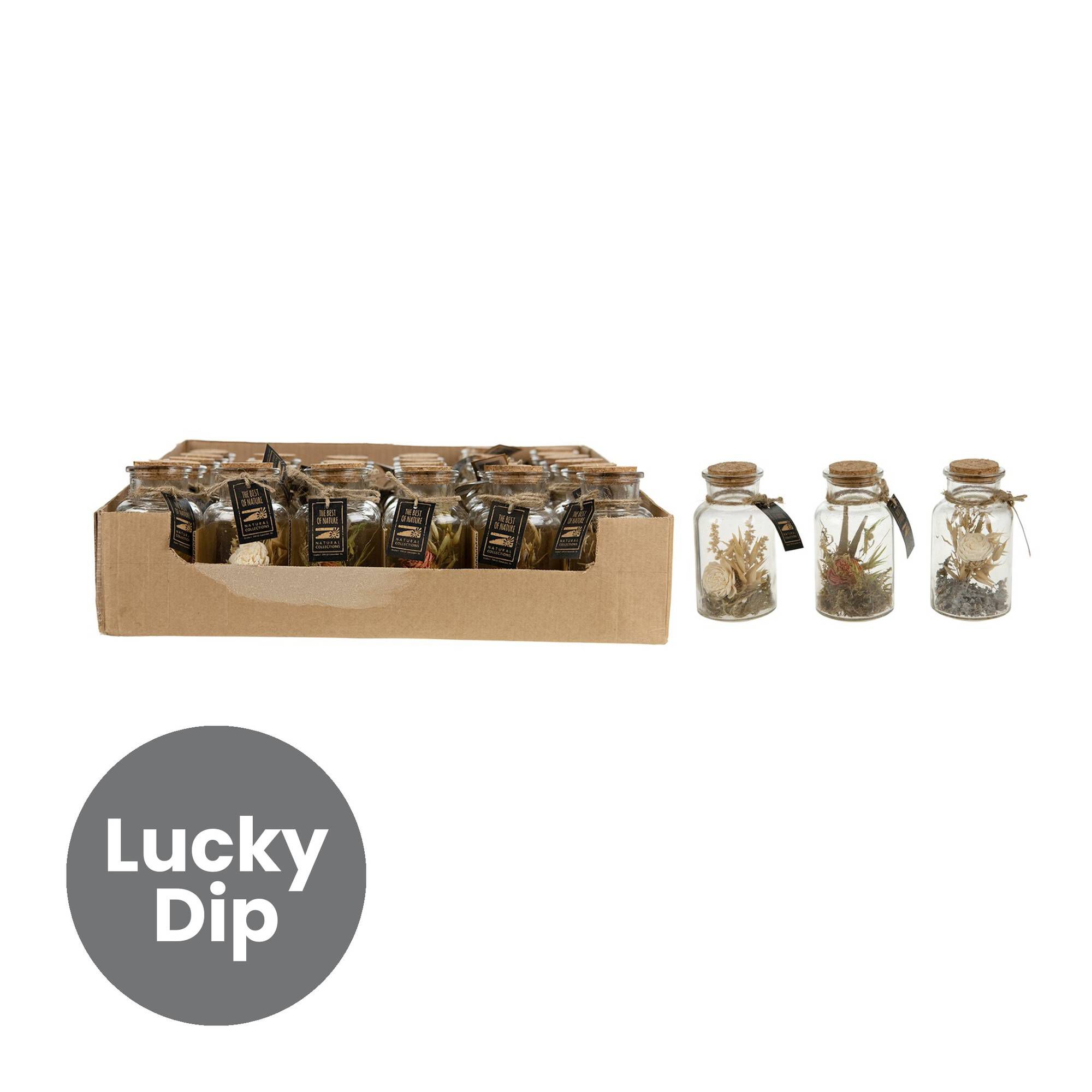 Assorted Dried Flowers in Bottle 14cm Hobbycraft