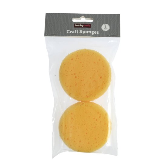 Craft Sponges 2 Pack  image number 1