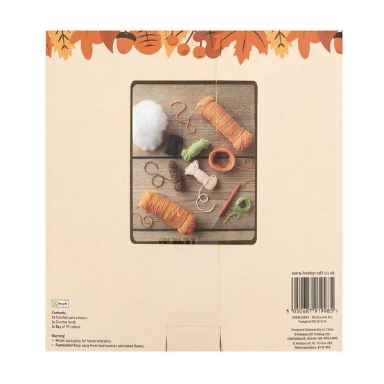 Pumpkin Crochet Kit image number 4
