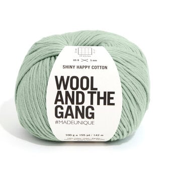 Wool and the Gang Eucalyptus Green Shiny Happy Cotton 100g