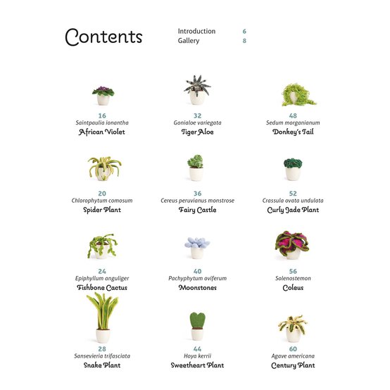 Crocheted Houseplants Crochet Book image number 3