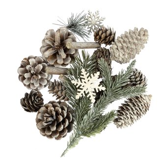 Mixed Pinecones 110g