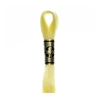 DMC Yellow Mouline Special 25 Cotton Thread 8m (3078)