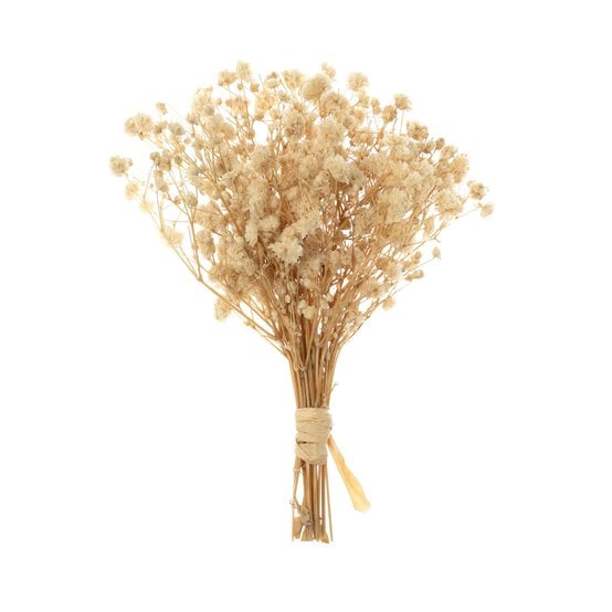 Natural Gypsophila Dried Floral Pick 13cm  image number 1