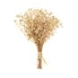 Natural Gypsophila Dried Floral Pick 13cm  image number 1