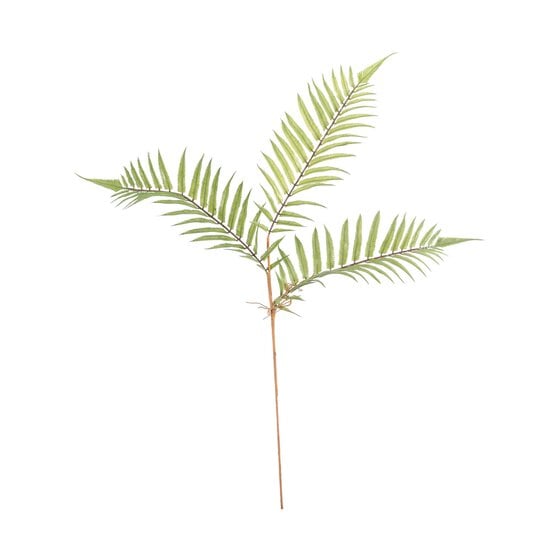 Boston Fern Spray 75cm x 25cm image number 1