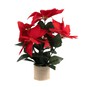 Red Poinsettia Plant Pot 50cm image number 1