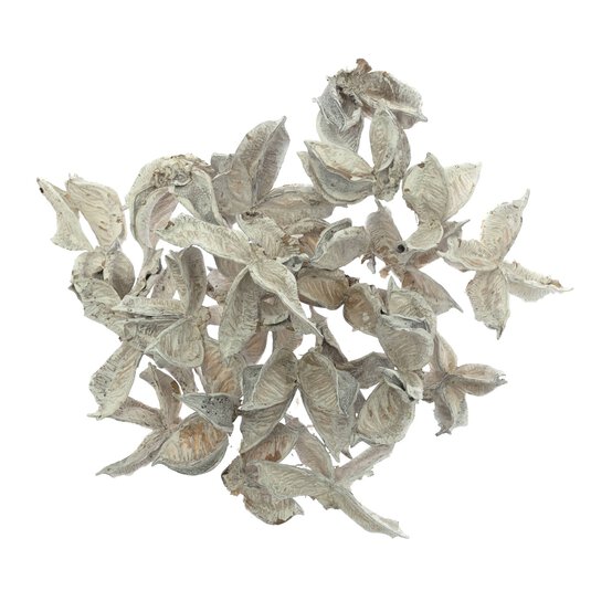 White Cotton Pods 40g image number 4