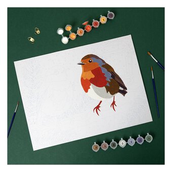 Christmas Robins Paint by Numbers