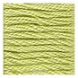 DMC Green Mouline Special 25 Cotton Thread 8m (016) image number 2