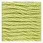 DMC Green Mouline Special 25 Cotton Thread 8m (016) image number 2