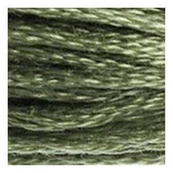 DMC Green Mouline Special 25 Cotton Thread 8m (3052)