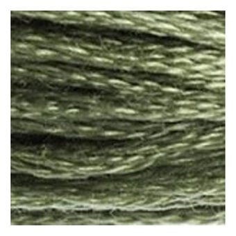 DMC Green Mouline Special 25 Cotton Thread 8m (3052) image number 2