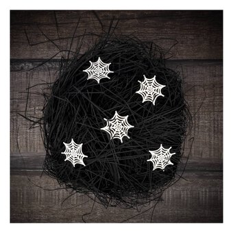 Spider&rsquo;s Web Paper Raffia 30g 