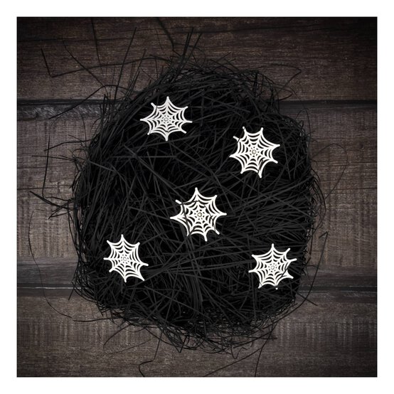 Spider&rsquo;s Web Paper Raffia 30g  image number 1