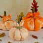 How to Make Tie Dye No-Sew Pumpkins image number 1