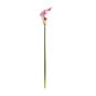 Pink Botanica Calla Lily 60cm image number 1