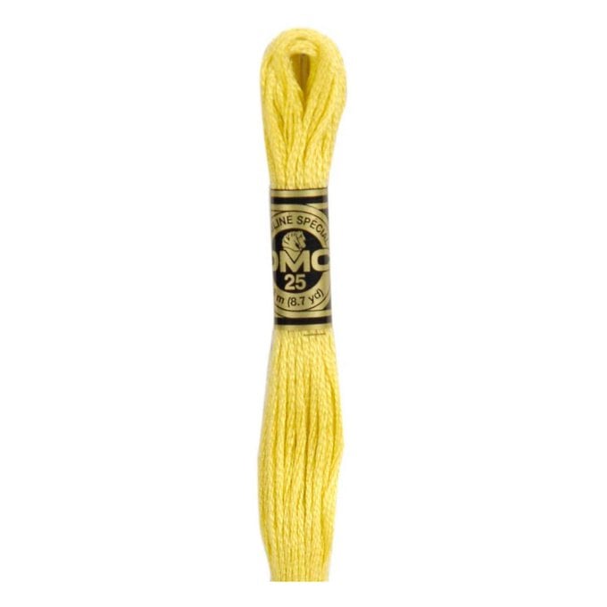 DMC Yellow Mouline Special 25 Cotton Thread 8m (017)