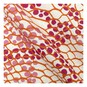 Animal Print Cotton Fat Quarters 5 Pack image number 5