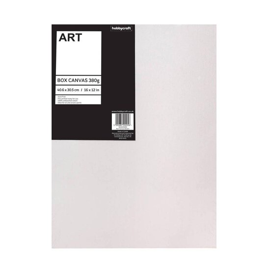 Box Canvas 40.6cm x 30.5cm 10 Pack Bundle image number 5