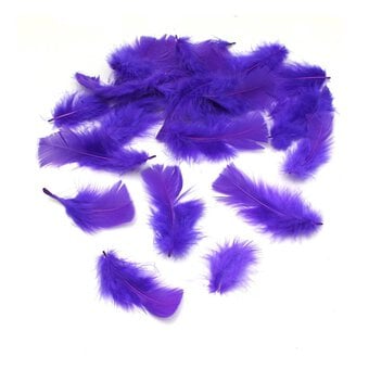Purple Craft Feathers 5g