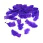 Purple Craft Feathers 5g image number 1