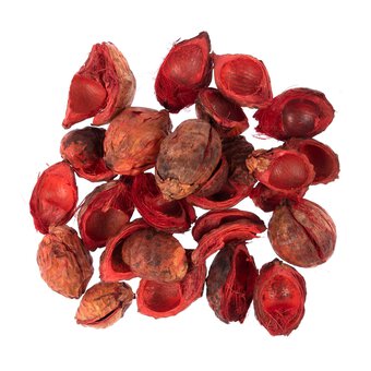 Red Beetal Pods 80g