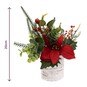 Red Poinsettia Flowerpot 20cm  image number 3
