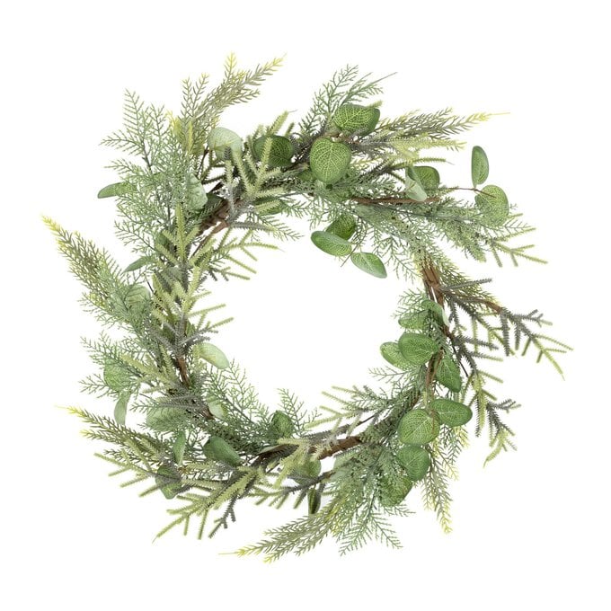Eucalyptus and Fern Wreath 53cm image number 1