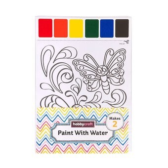 Butterfly Paint with Water Picture 2 Pack