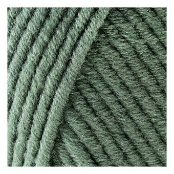 Women’s Institute Sage Soft and Chunky Yarn 100g image number 2