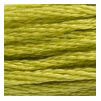 DMC Green Mouline Special 25 Cotton Thread 8m (166)