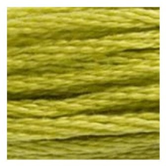 DMC Green Mouline Special 25 Cotton Thread 8m (166) image number 2