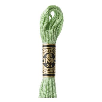 DMC Green Mouline Special 25 Cotton Thread 8m (164)