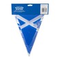 Scotland Flag Bunting 5m image number 3